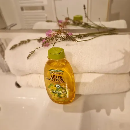 Luxury Jacuzzi Bed & Breakfast Conflans-Sainte-Honorine